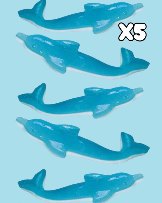 Dauphins XXL x5